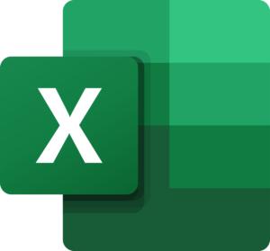 <p>Spreadsheet (Excel)</p>