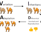<p>An adaptation is a process that is critical to survival for organizations. Adaptation is caused by a process called natural selection. It is where an organism adapts to its environment by evolving.</p>