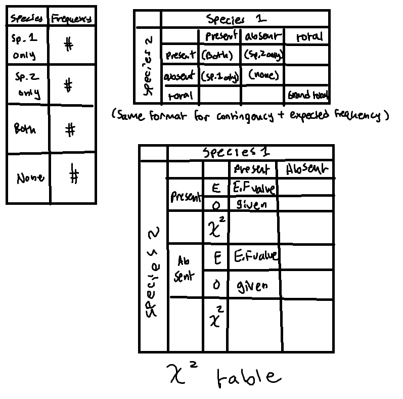 <ol><li><p>Make a table measuring the frequency that of each species: species 1 only, species 2 only, both, none</p></li><li><p>Create a contingency table using those values to find the total of when each species is present</p></li><li><p>Create an expected frequency table using the expected frequency formula</p></li><li><p>Create the final chi-squared table using the chi-squared formula</p></li><li><p>Find degrees of freedom to determine if chi-square value is significant</p></li></ol><p></p>