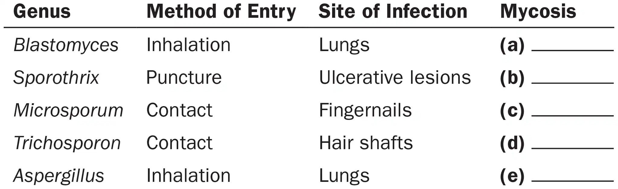 <p>Following is a list of fungi, their methods of entry into the body, and sites of infections they cause. Categorize each type of mycosis as cutaneous, opportunistic, subcutaneous, superficial, or systemic.</p><ol><li><p>Aspergillus</p></li></ol><p></p>