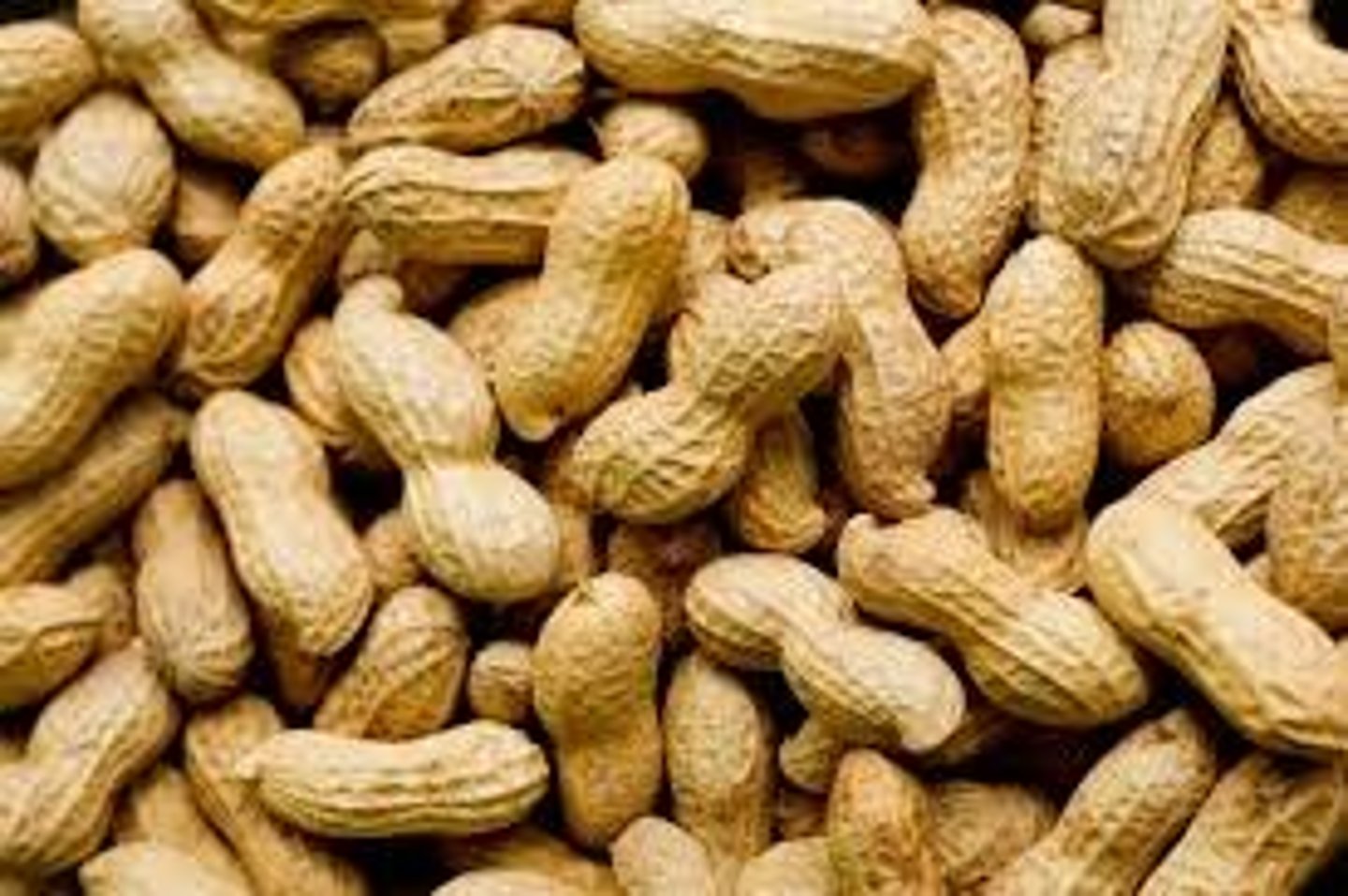 <p>peanuts</p>