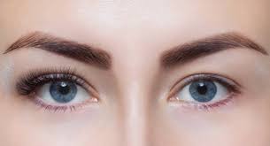<p>eyebrows</p>