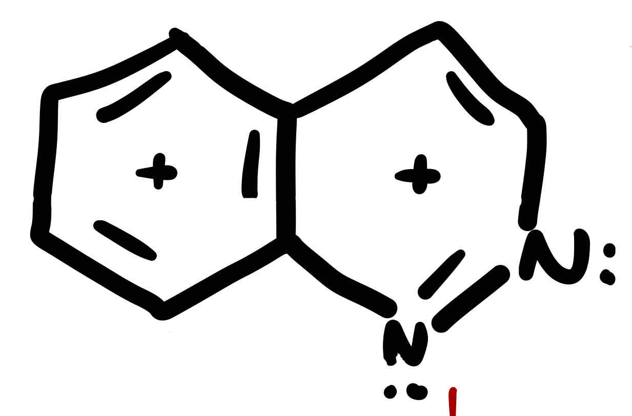 <p>Benzene + pyridazene</p>