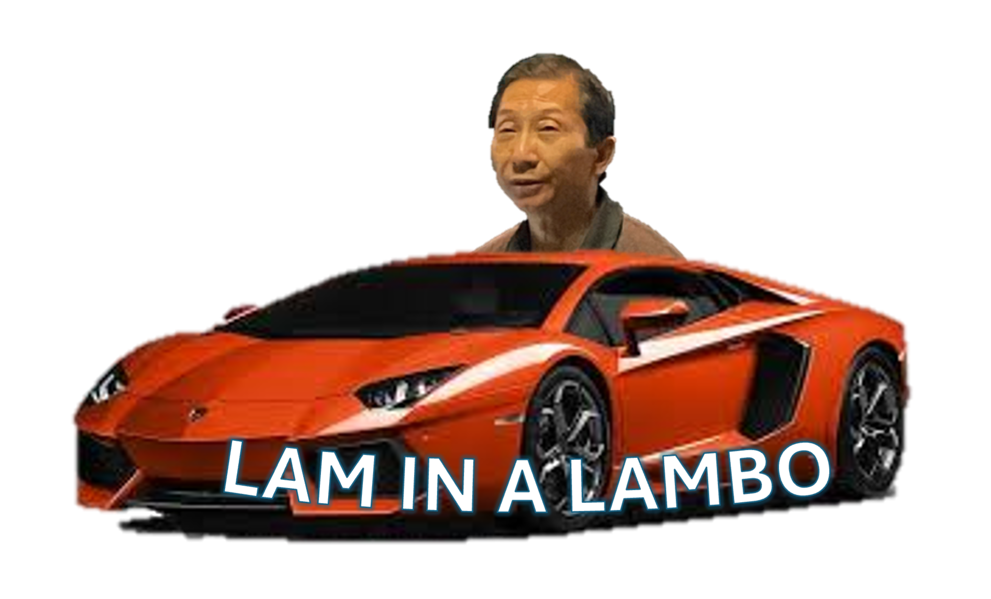 <p>MOA for beta 3 agonist </p>