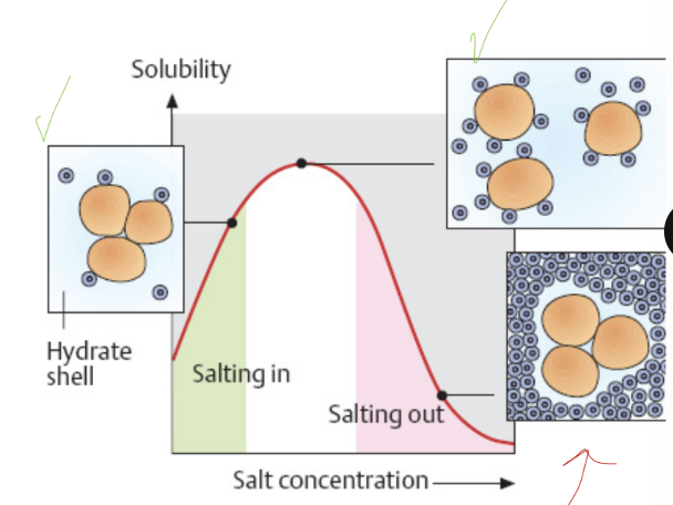 <p>salting in - low salt concentrations improve solubility&nbsp;</p><p>salting out - high concentration decrease solubility</p>