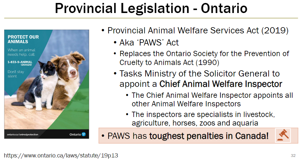 <p><strong>Overview</strong><br> Also called the “PAWS” Act<br> Replaces the Ontario Society for the Prevention of Cruelty to Animals Act (1990)</p><p><strong>Administration</strong><br> Ministry of the Solicitor General appoints a Chief Animal Welfare Inspector<br> Chief Animal Welfare Inspector appoints all other Animal Welfare Inspectors<br> Inspectors are specialists in livestock, agriculture, horses, zoos, and aquaria</p><p><strong>Penalties</strong><br> PAWS Act has the toughest penalties for animal welfare offences in Canada</p>