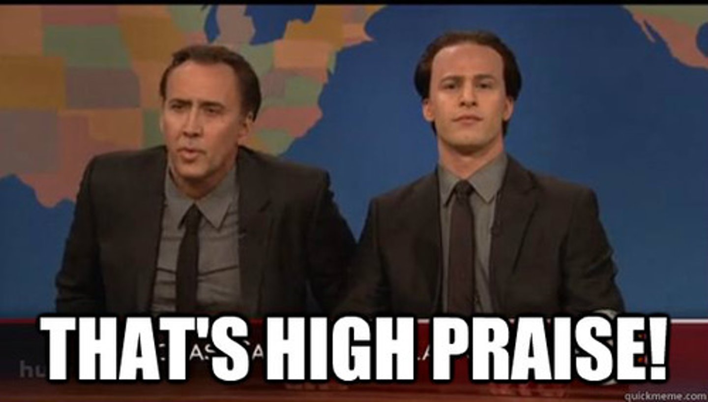 <p>(n) praise or flattery that is excessive</p><p>Synonyms: adoration, idolization, hero-worship</p><p>Antonyms: ridicule, derision, odium</p>