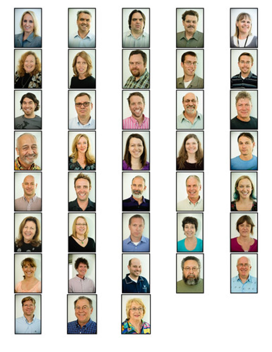 <p>/ˈfæklti/ (n)</p><p>a department or group of related departments in a college or university</p>