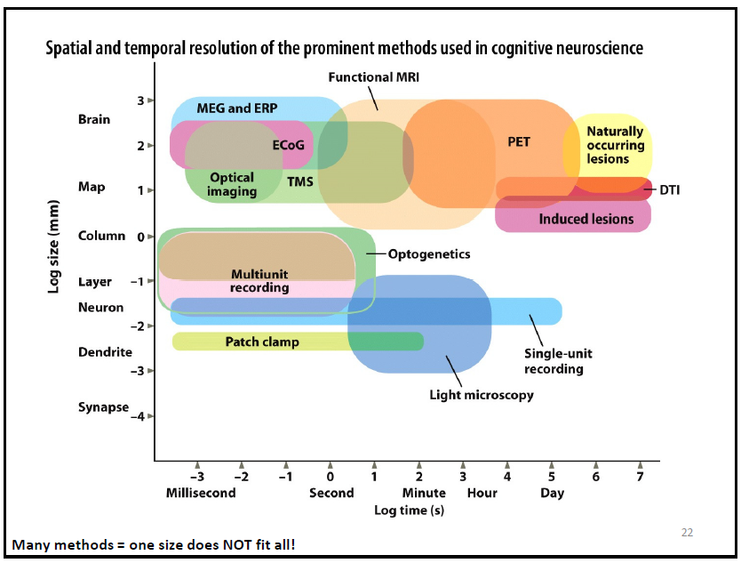 <p>study this slide</p>