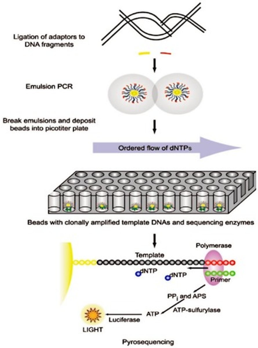<p>A type of next generation sequencing that relies on the release of pyrophosphate.</p>