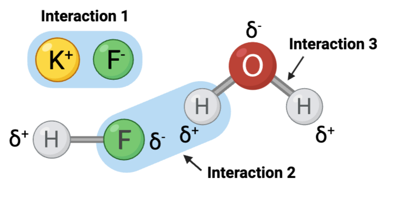 <p><span>Interaction 2 is ____.</span></p><p>a. a covalent bond</p><p>b. a hydrogen bond</p><p>c. an ionic bond</p>