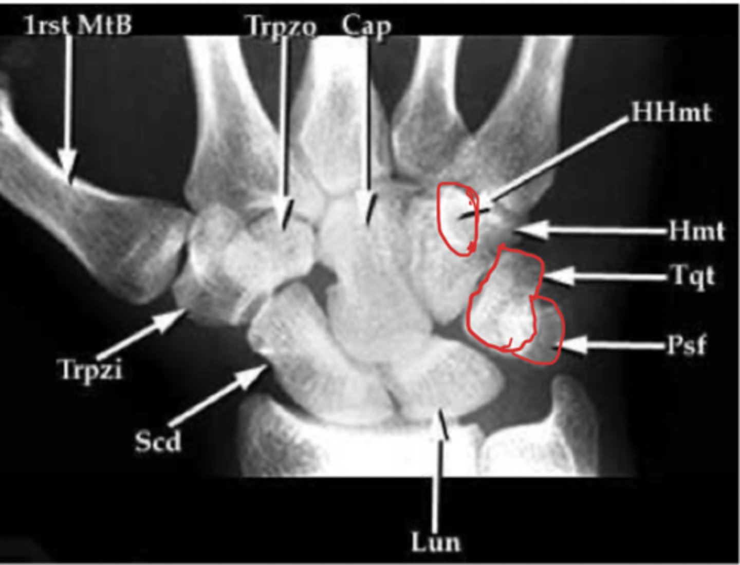 <p>What view is this?</p>