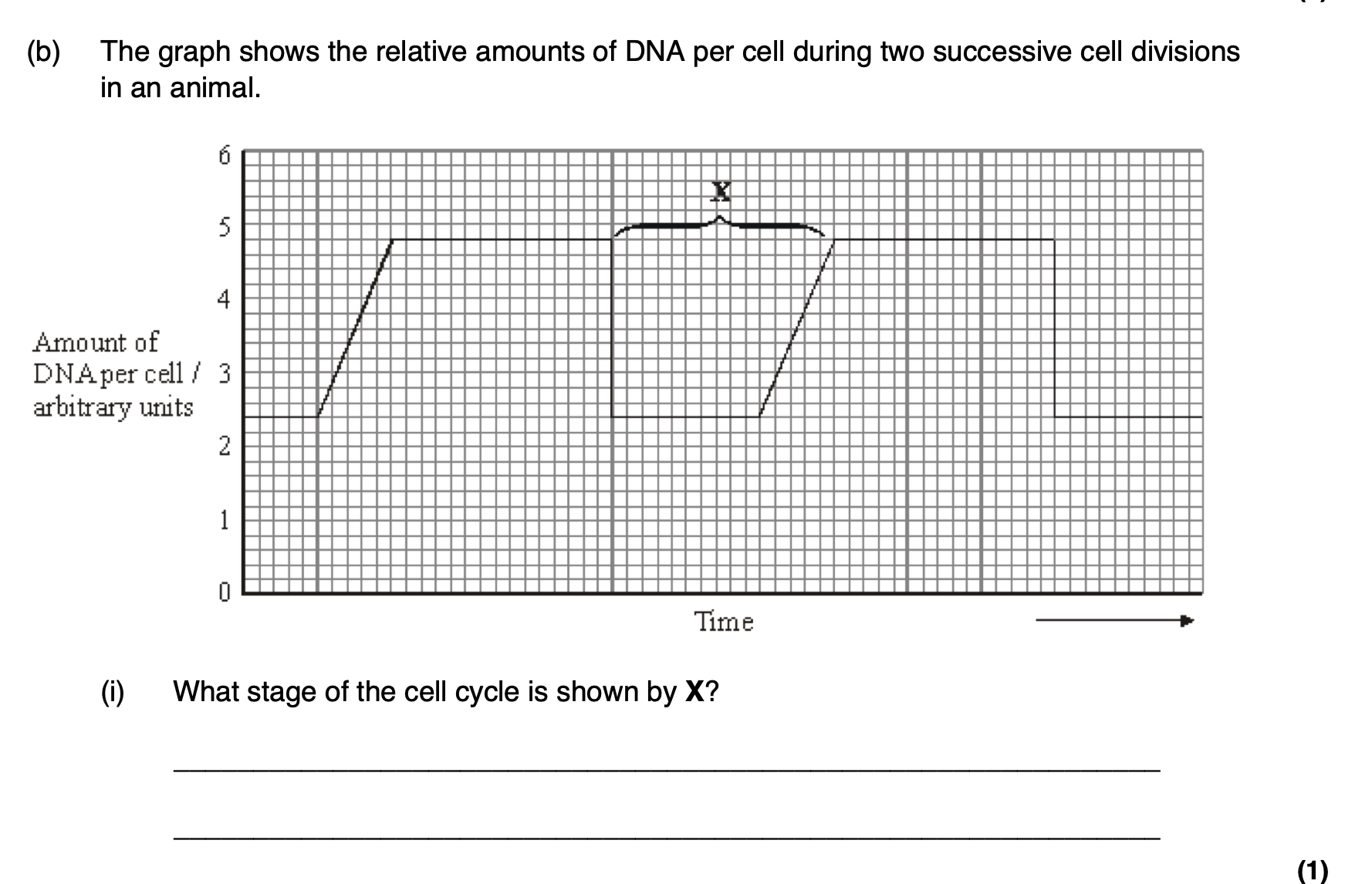 <p>Apart from an increase in the amount of DNA, give <strong>one </strong>process which occurs during</p><p class="p1">stage <strong>X </strong>which enables nuclear division to occur.</p>