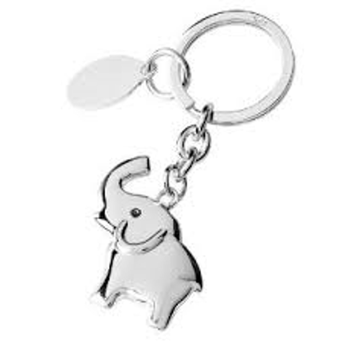 <p>key ring</p>