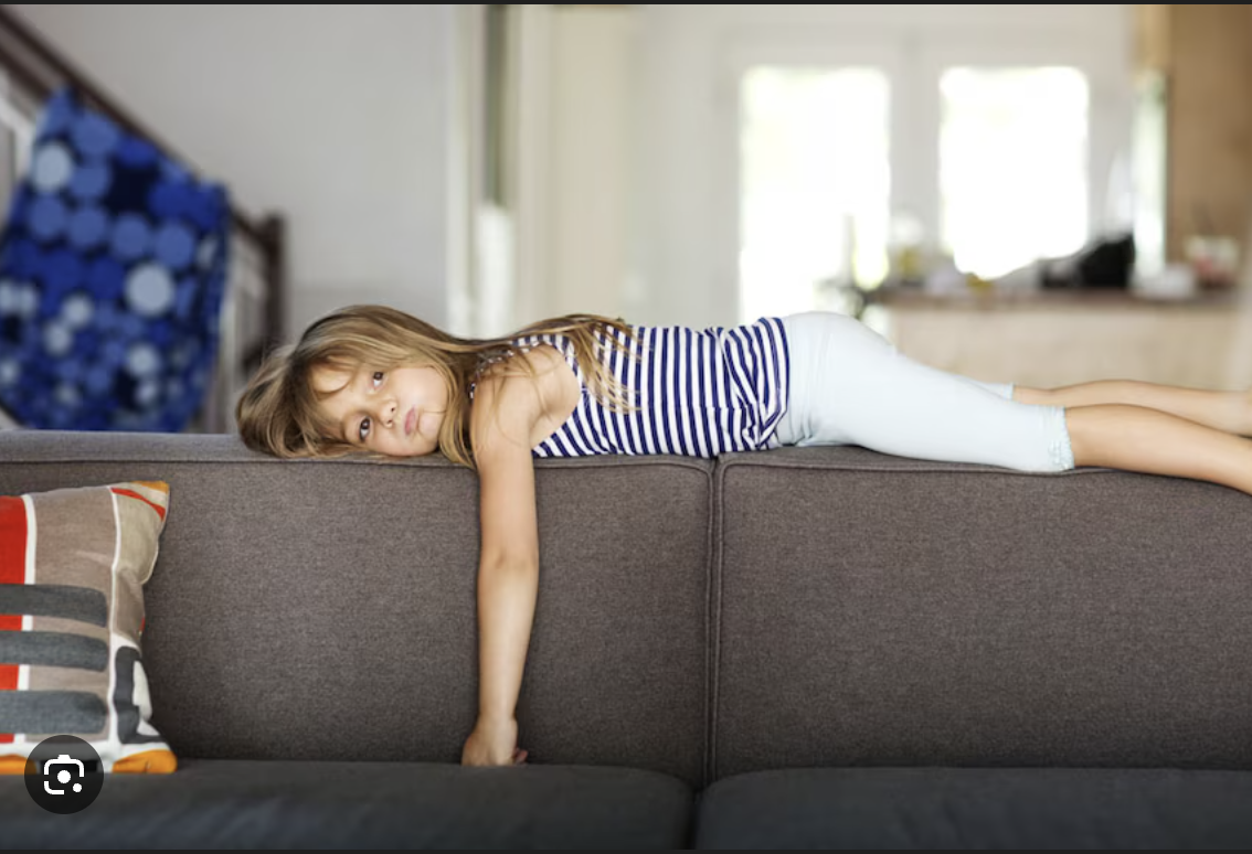 <ul><li><p><strong>actively accepting periods of inactivity or lack of stimulation, often with the goal of fostering creativity or mental clarity</strong></p></li></ul><p>(chấp nhận và đón nhận sự nhàm chán, sự buồn tẻ; không cố gắng tìm kiếm kích thích bên ngoài)</p>