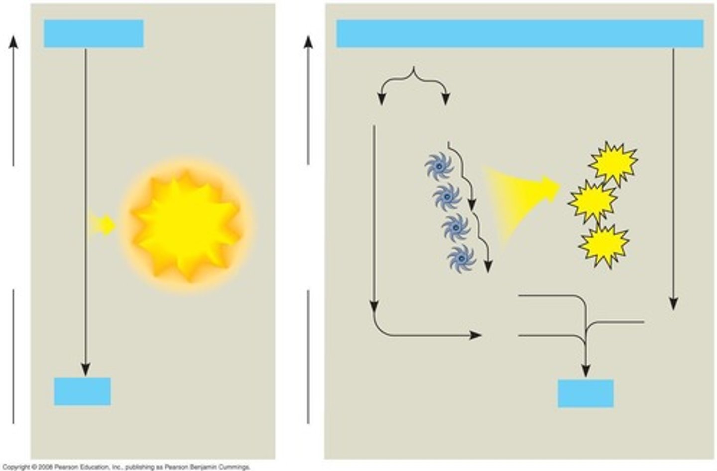 <p>To produce organic molecules from CO2 and other inorganic molecules using sunlight.</p>