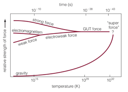 <ul><li><p><span style="background-color: transparent;"><span>Gravity</span></span></p><ul><li><p><span style="background-color: transparent;"><span>Holds things together</span></span></p></li></ul></li><li><p><span style="background-color: transparent;"><span>Electromagentism</span></span></p><ul><li><p><span style="background-color: transparent;"><span>Electromagnetism keeps us together and preventing us from going down cuz it keeps our atoms together</span></span></p></li><li><p><span style="background-color: transparent;"><span>Pos and neg charges</span></span></p></li><li><p><span style="background-color: transparent;"><span>Works on the atomic scale</span></span></p></li><li><p><span style="background-color: transparent;"><span>The force between particles in atoms and molecules</span></span></p></li><li><p><span style="background-color: transparent;"><span>In between gravity and the two below</span></span></p></li></ul></li><li><p><span style="background-color: transparent;"><span>Weak force</span></span></p><ul><li><p><span style="background-color: transparent;"><span>Keeps nucleus of atom together, protons and neutrons together</span></span></p></li><li><p><span style="background-color: transparent;"><span>Plays a role in fusion and fission - changing ‘em </span></span></p></li></ul></li><li><p><span style="background-color: transparent;"><span>Strong force</span></span></p><ul><li><p><span style="background-color: transparent;"><span>Binds protons and neutrons together in atomic nuclei</span></span></p></li></ul></li></ul><p><span style="background-color: transparent;"><u><span>Do forces unify at high temperatures?</span></u></span></p><p><span style="background-color: transparent;"><span>Yes, weak and electromagnetism become electroweak force</span></span></p><p><span style="background-color: transparent;"><span>And strong force and electroweak may potentially make the GUT force</span></span></p><p><span style="background-color: transparent;"><u><span>How the forces came to be:</span></u></span></p><ul><li><p><span style="background-color: transparent;"><span>We start with gut force and gravity and end up with these 4</span></span></p></li><li><p><span style="background-color: transparent;"><span>GUT Force & Gravity came from super force</span></span></p></li><li><p><span style="background-color: transparent;"><span>Forces were created from the Big Bang</span></span></p></li><li><p><span style="background-color: transparent;"><span>The strong, weak, and electromagnetic force came from the GUT force</span></span></p></li><li><p><span style="background-color: transparent;"><span>Forces split off</span></span></p></li></ul><p></p>