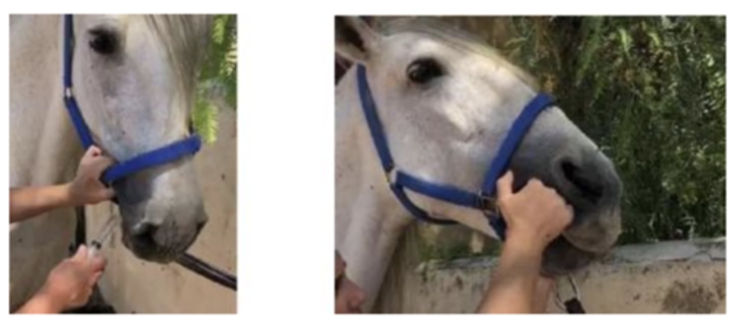 <p>what is this image showing ?</p>