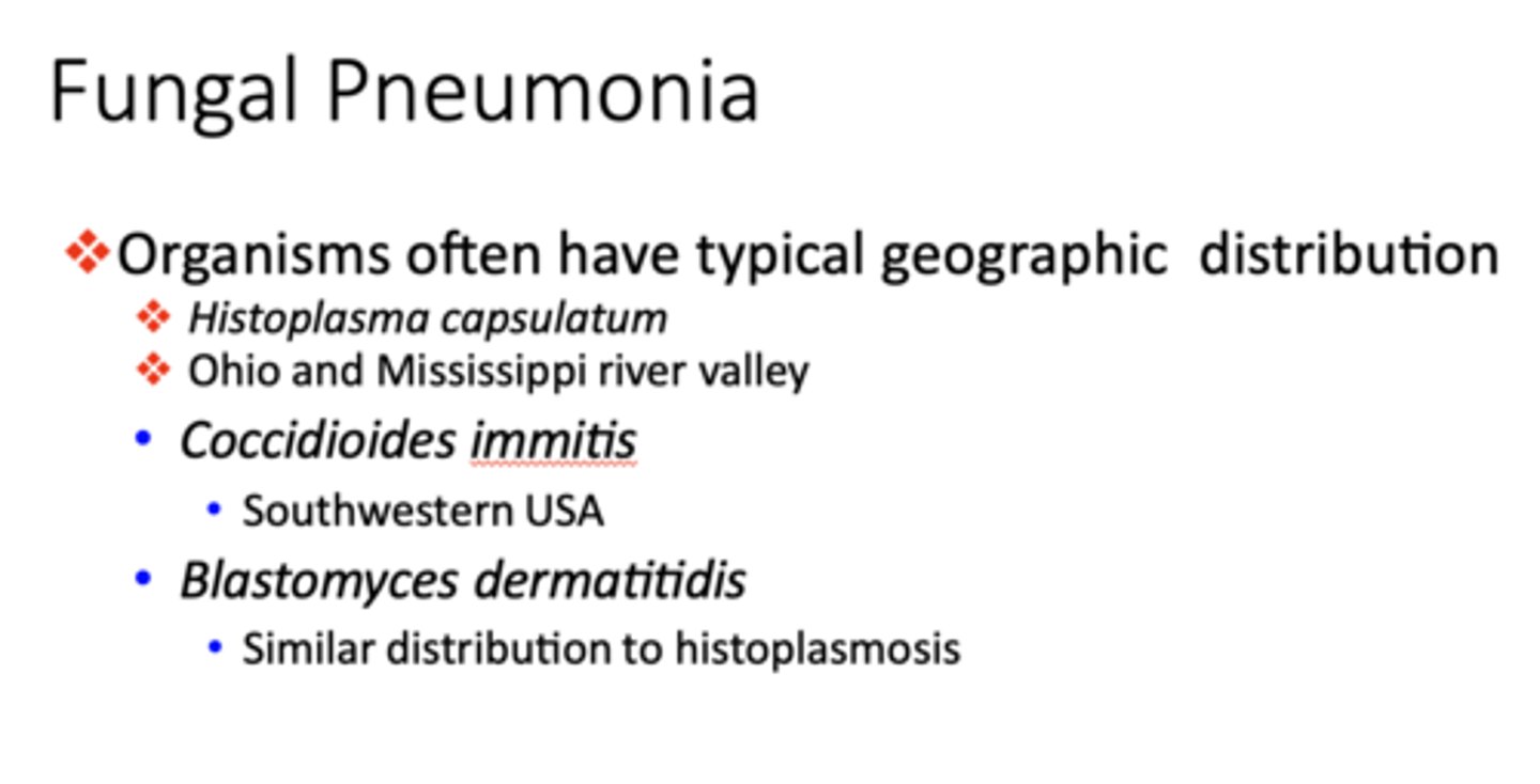 <p>fungal pneumonia </p>