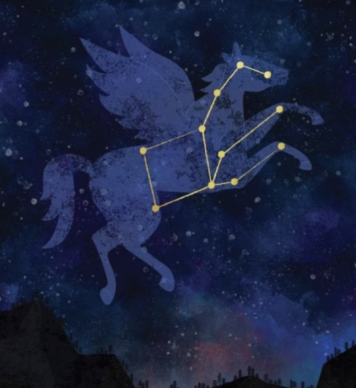 <p><strong>COMMON STARS &amp; CONSTELLATIONS:</strong></p><p>The Winged Horse</p>