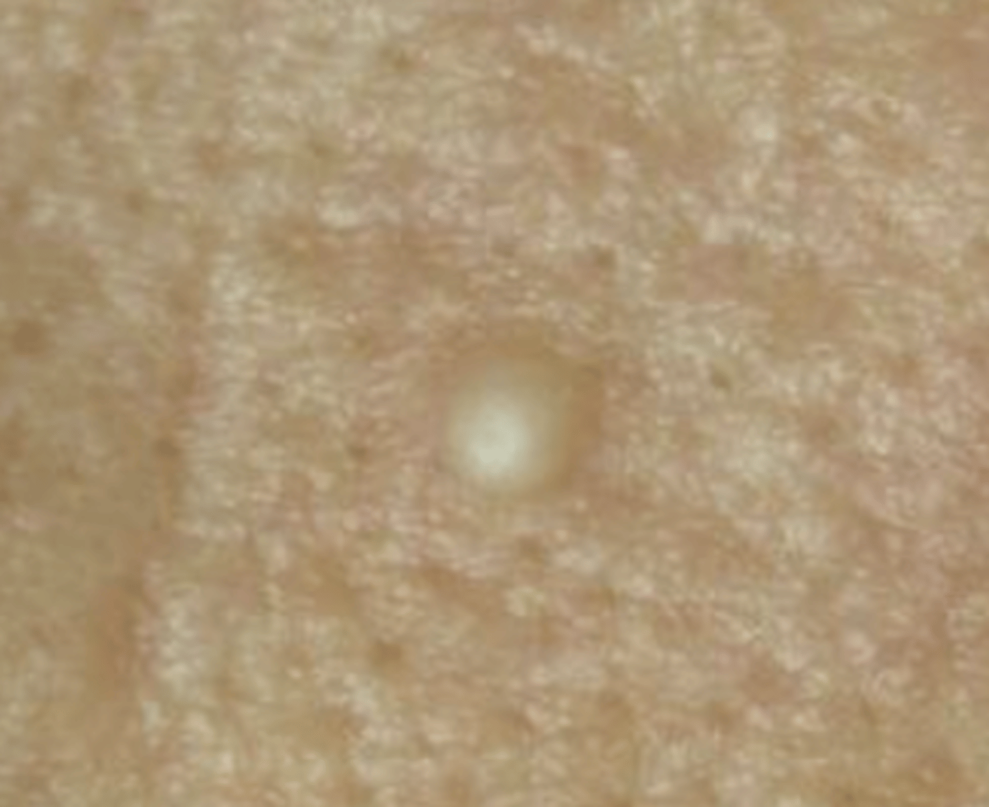<p>What is shown in the following?</p>