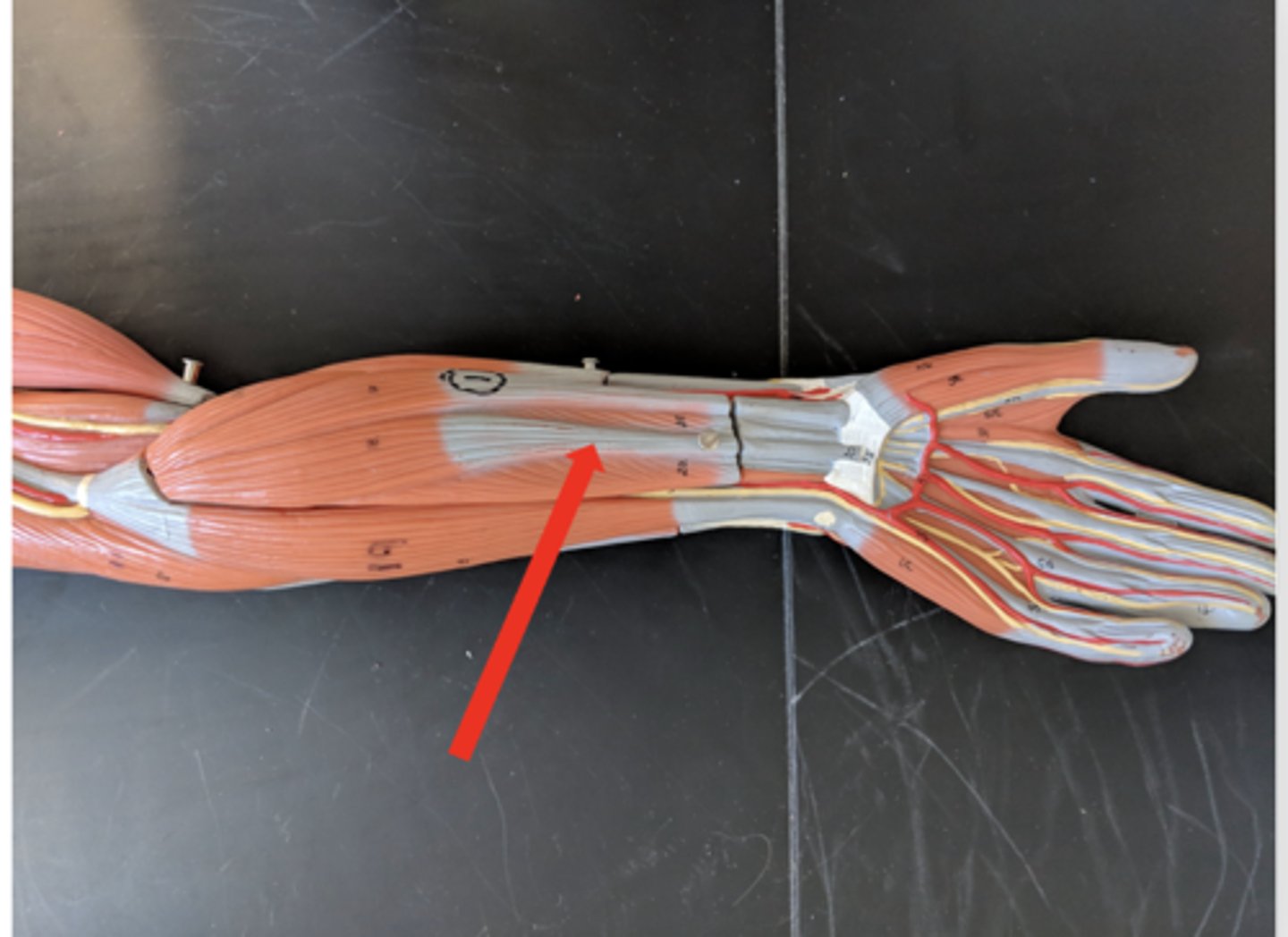 <p>what is this?</p>