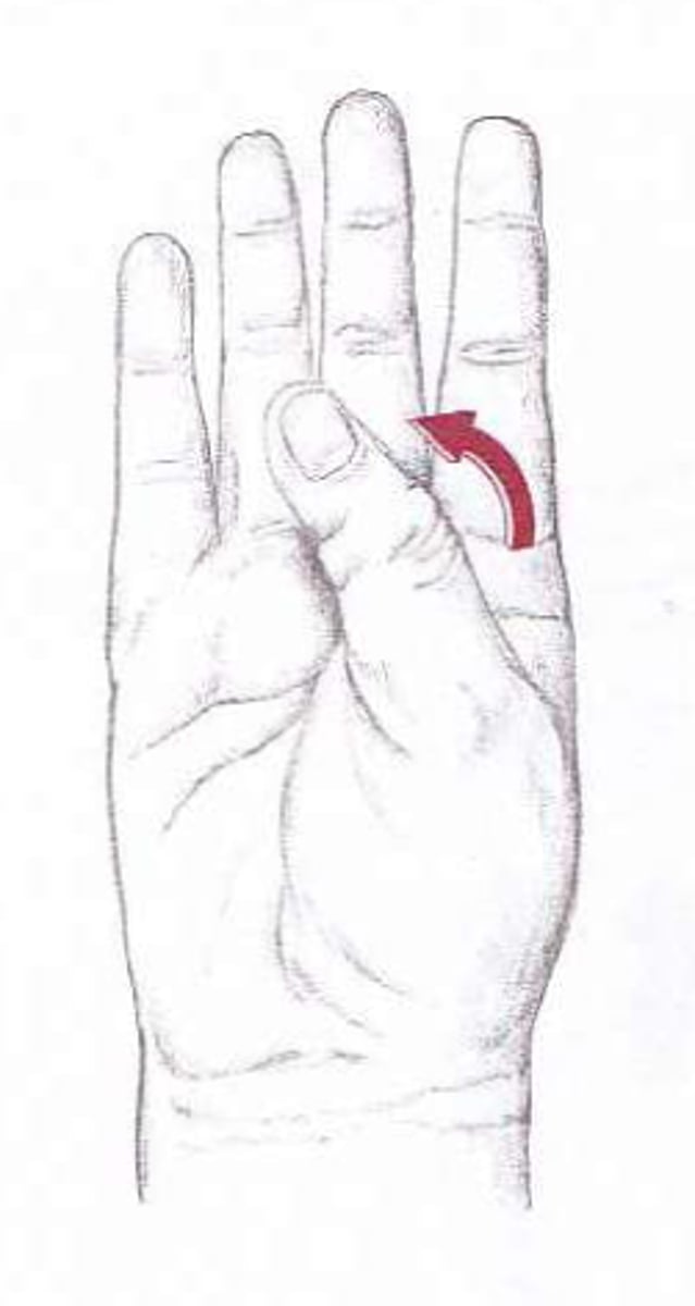 <p>transverse plane</p>