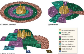 <p>Concentric Zone Model</p><p>Sector Model</p><p>Multiple-Nuclei Model</p><p>Peripheral Model</p>