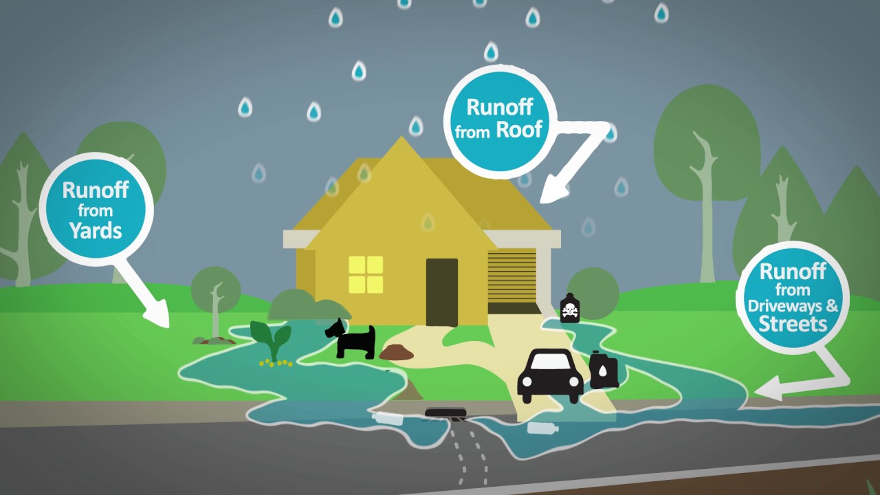 <p>When heavy rains and other forms of precipitation <u>carry or wash away sediments, litter, and other pollutants from the land</u>, this is referred to as _____________________.</p>