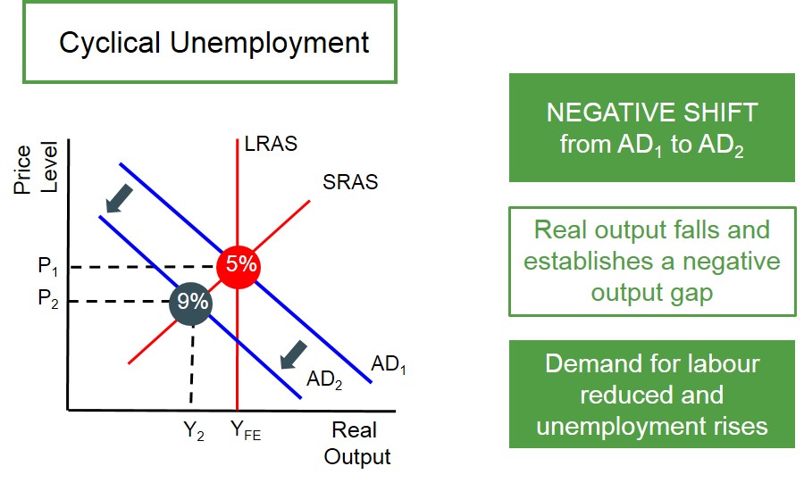 Cyclical unemployment graph