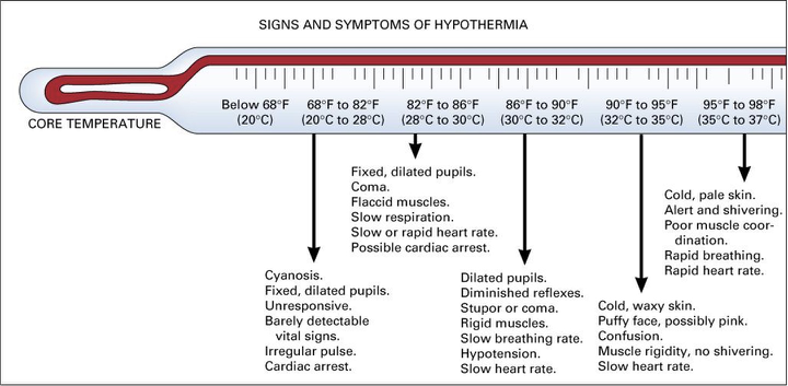 <p>body tries to compensate then slows down</p><p></p><p>faster hr, rr, and shivering but then that all stops</p><p></p><p>AMS develops</p><p></p><p>skin goes from red to pale and waxy</p><p></p><p>pupils get dilated&nbsp;</p>