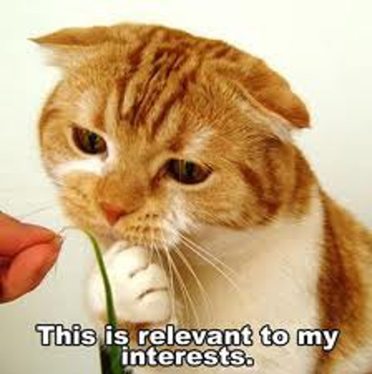 <p>adj. relevant to the subject at hand, fitting</p><p>syn. pertinent</p><p>ant. irrelevant, extraneous, inappropriate</p>