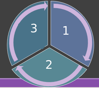 <p>Steps of the diagnostic process</p>
