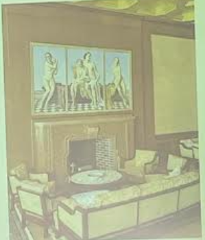 term image