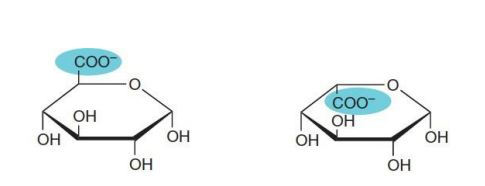 <p>L +&nbsp; D in last C</p>