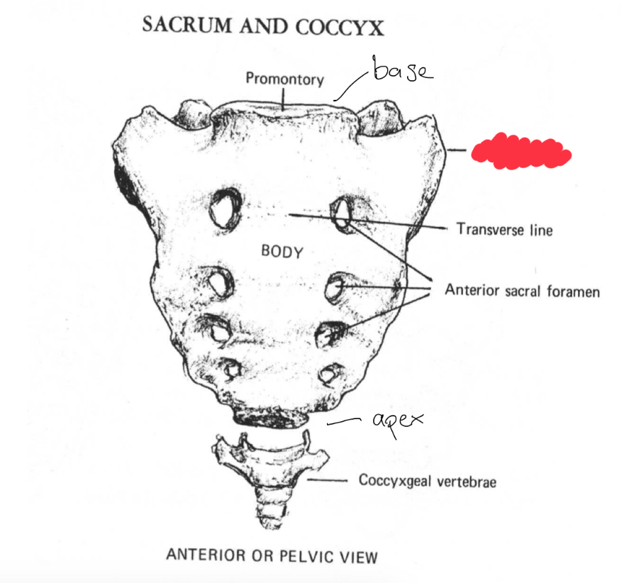 <p>What is this structure?</p>