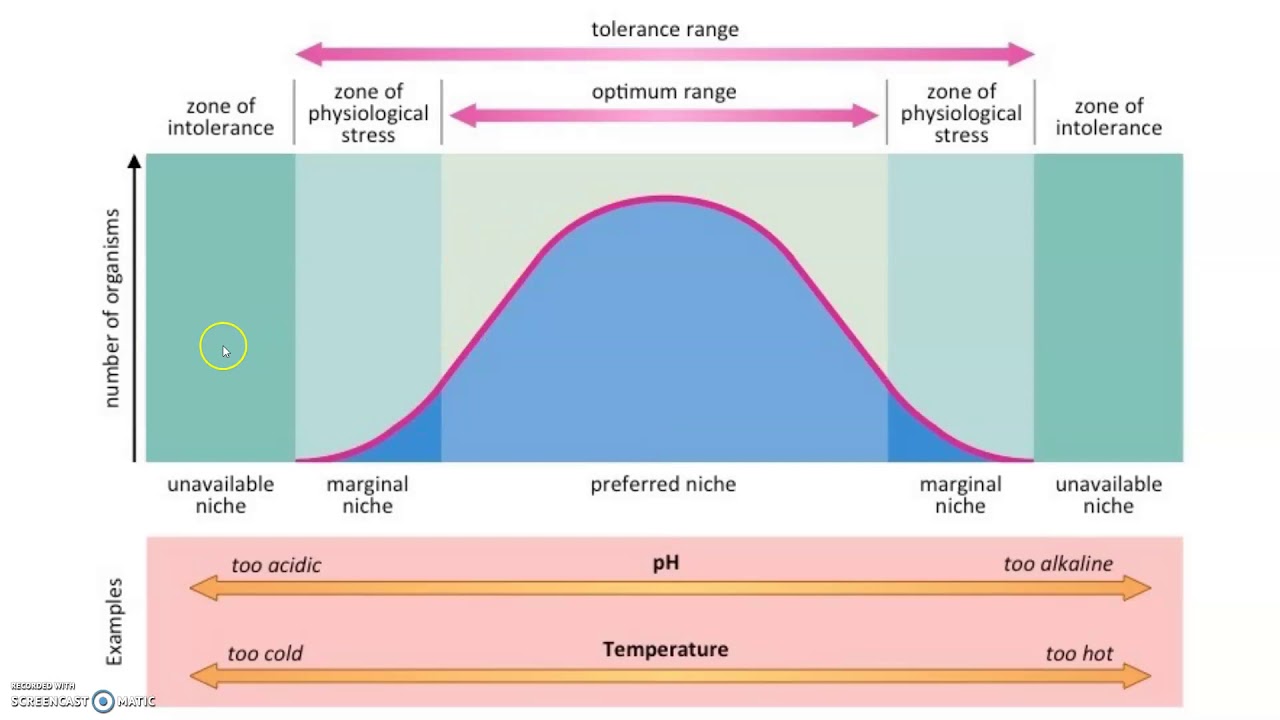 <p><span>the limits to the abiotic conditions that a species can tolerate such as humidity, temperature, salinity, and pH</span></p>