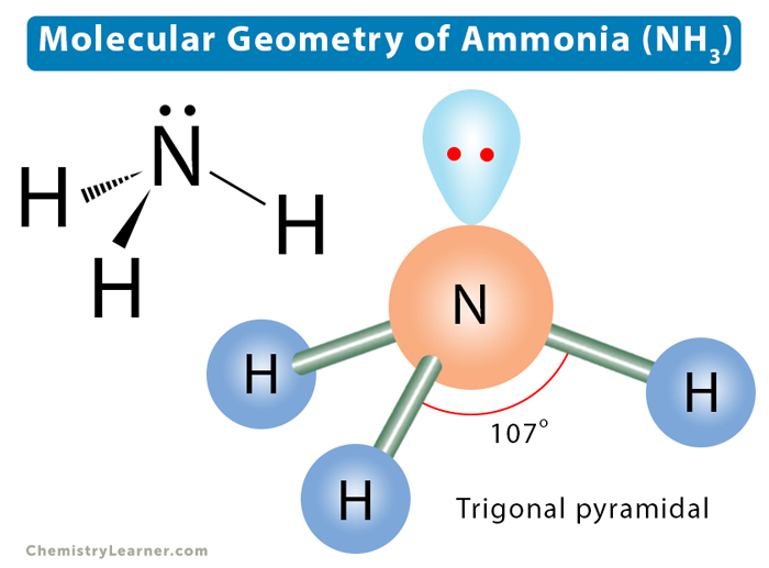 <p>Bonds: 3</p><p>Lone Pairs: 1</p><p># clouds: 4</p><p>Bond angle: 107</p><p>tetrahedral w one hair down</p>