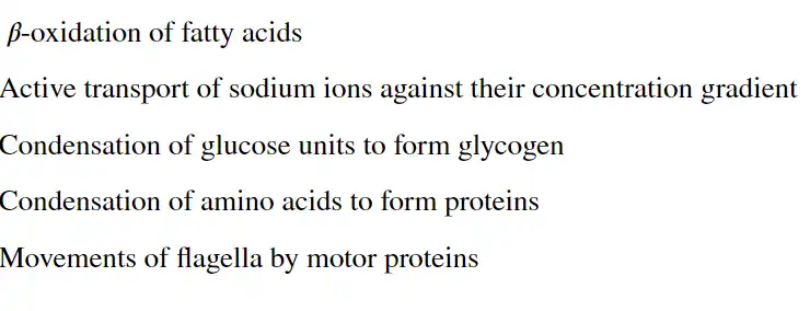 <p>Which example does not need ATP hydrolysis?</p>