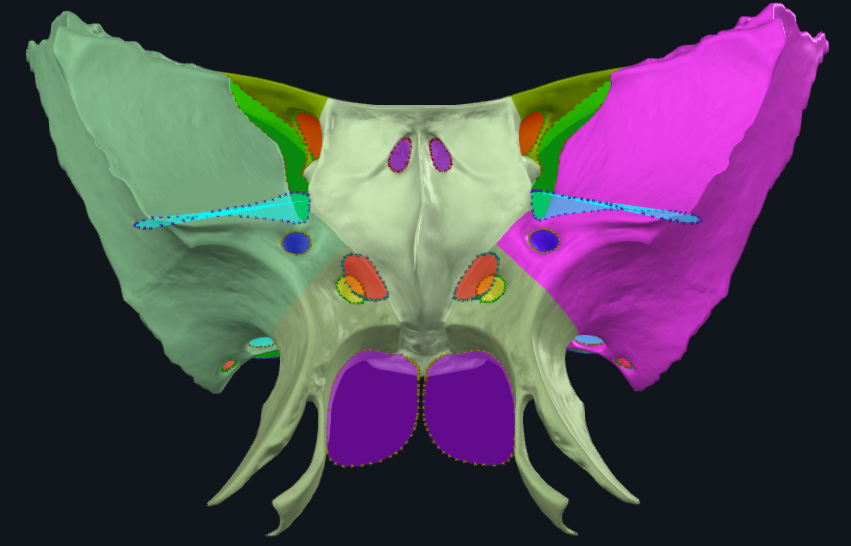 term image