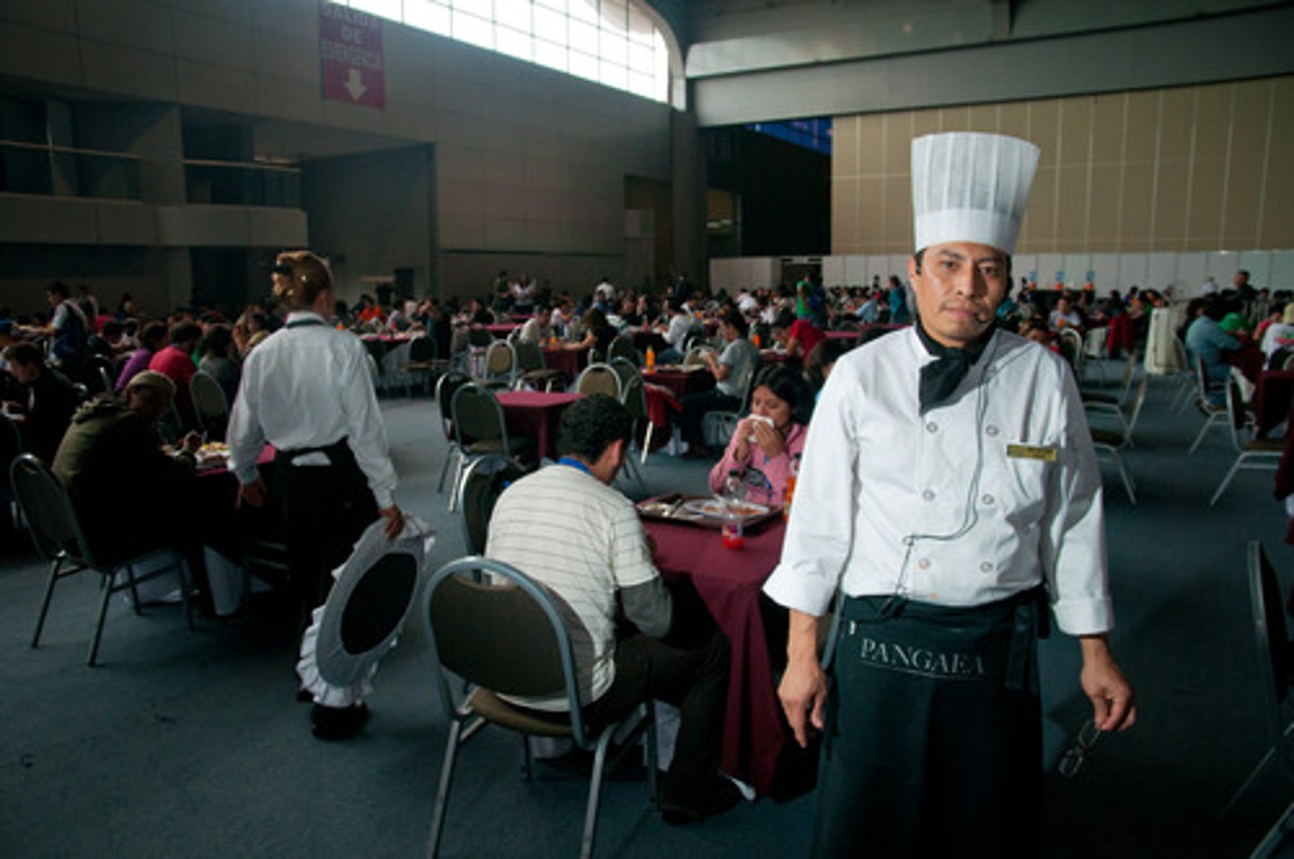 <p>постачальник провізії</p>