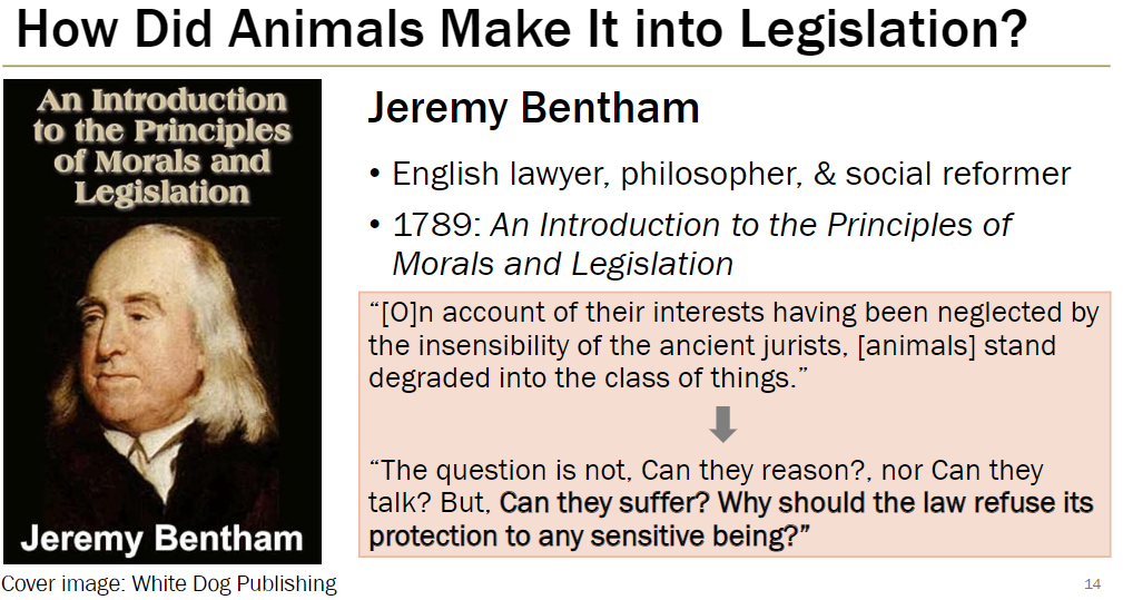 <p><strong>Jeremy Bentham (1789)</strong><br> English lawyer, philosopher, and social reformer<br> Wrote <em>An Introduction to the Principles of Morals and Legislation</em></p><p><strong>Key Ideas</strong><br> Animals were historically treated as “things” because their interests were ignored by ancient jurists<br> Bentham argued the relevant question is not “Can they reason?” or “Can they talk?” but “Can they suffer?”<br> Law should protect all sensitive beings, not just humans</p>