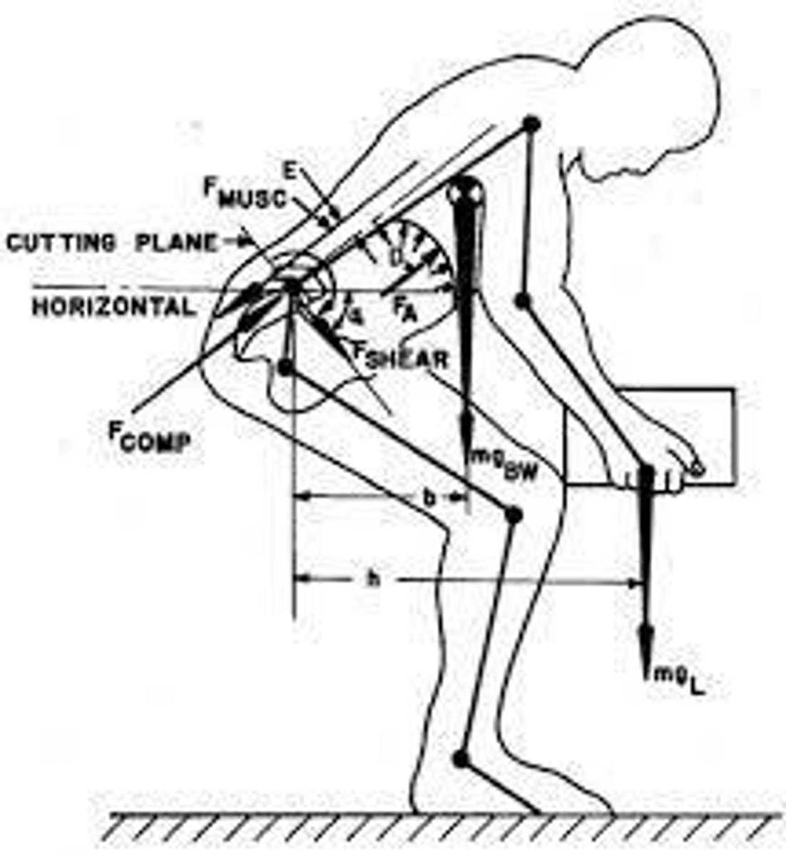 <p>Study of worker interactions with tools and materials.</p>