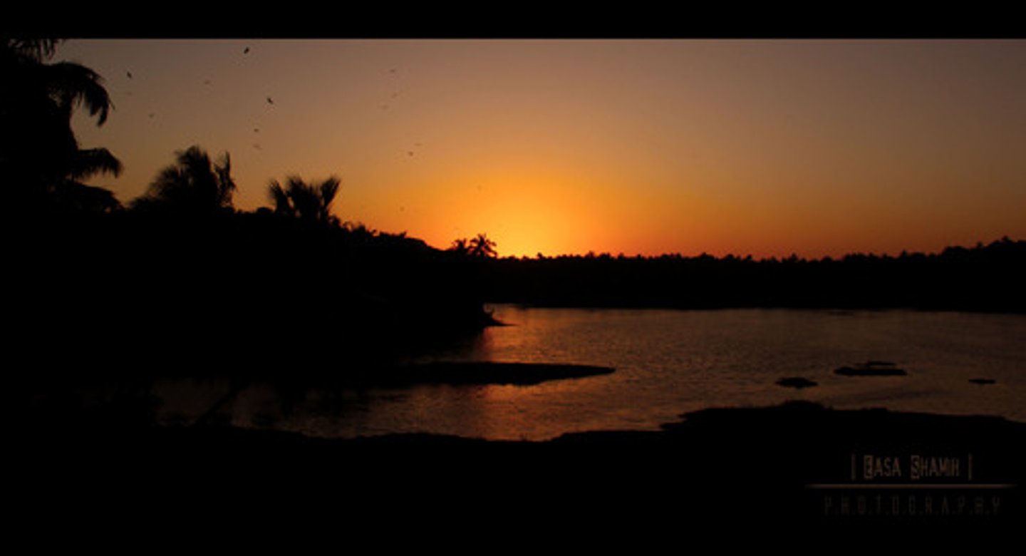 <p>Every evening;</p>