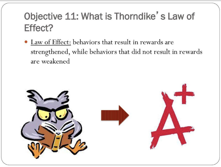 <p>behaviors that result in a positive outcome are more likely to be repeated while behaviors that result in a negative outcome are less likely to be repeated </p>