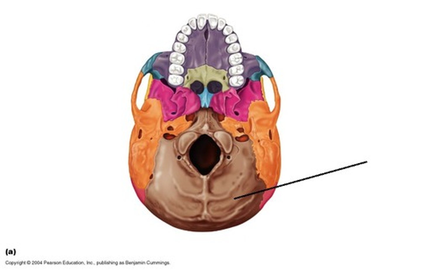 knowt flashcard image