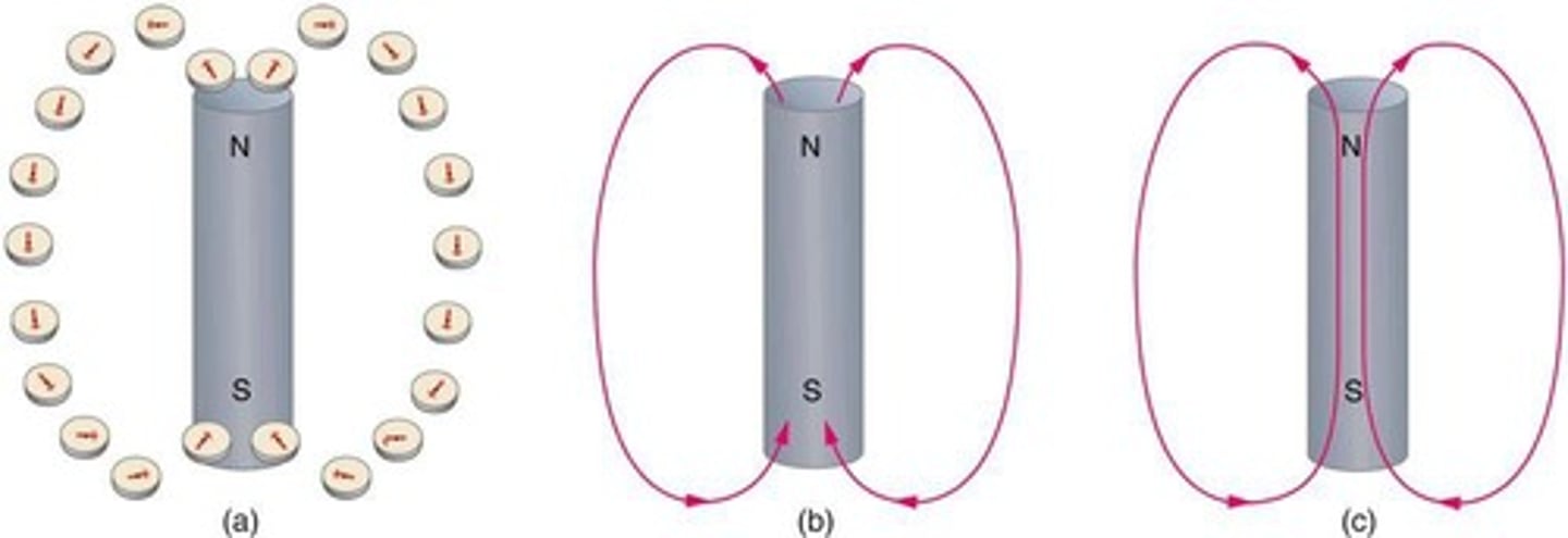 <p>From the north pole to the south pole.</p>