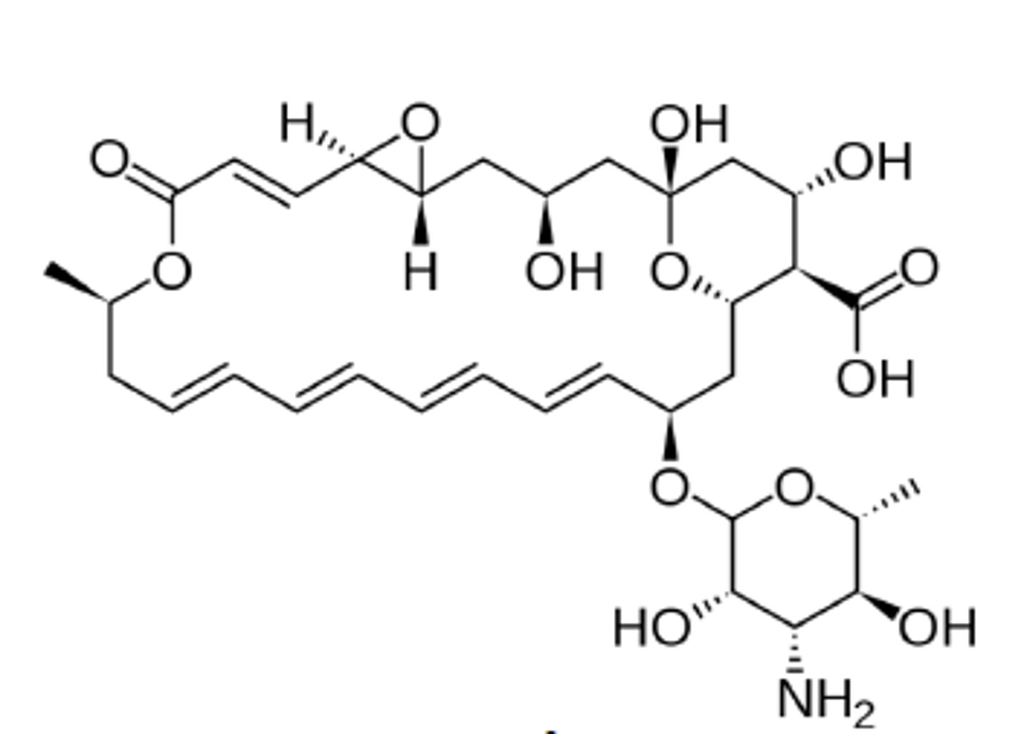 <p>topical macrocyclic lactone with hydrophilic (top) and hydrophobic (bottom) regions</p>