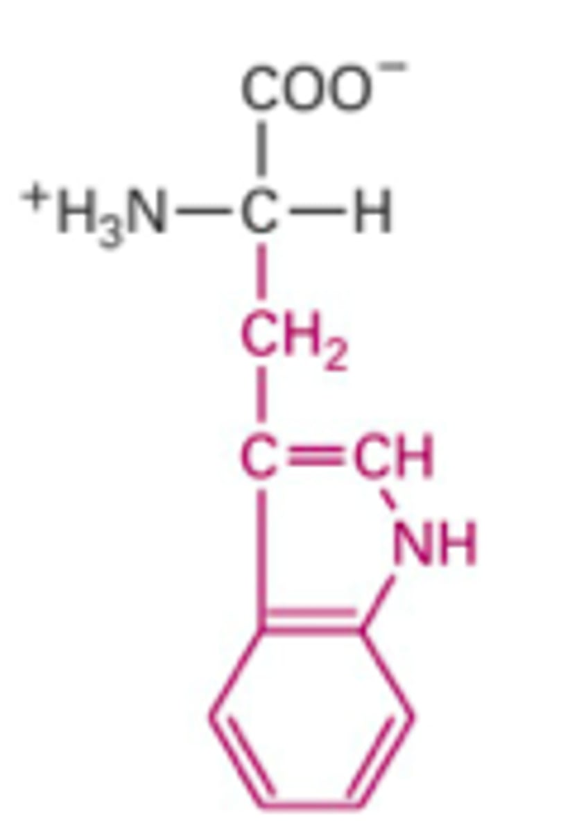 <p>What Structure is this?</p>