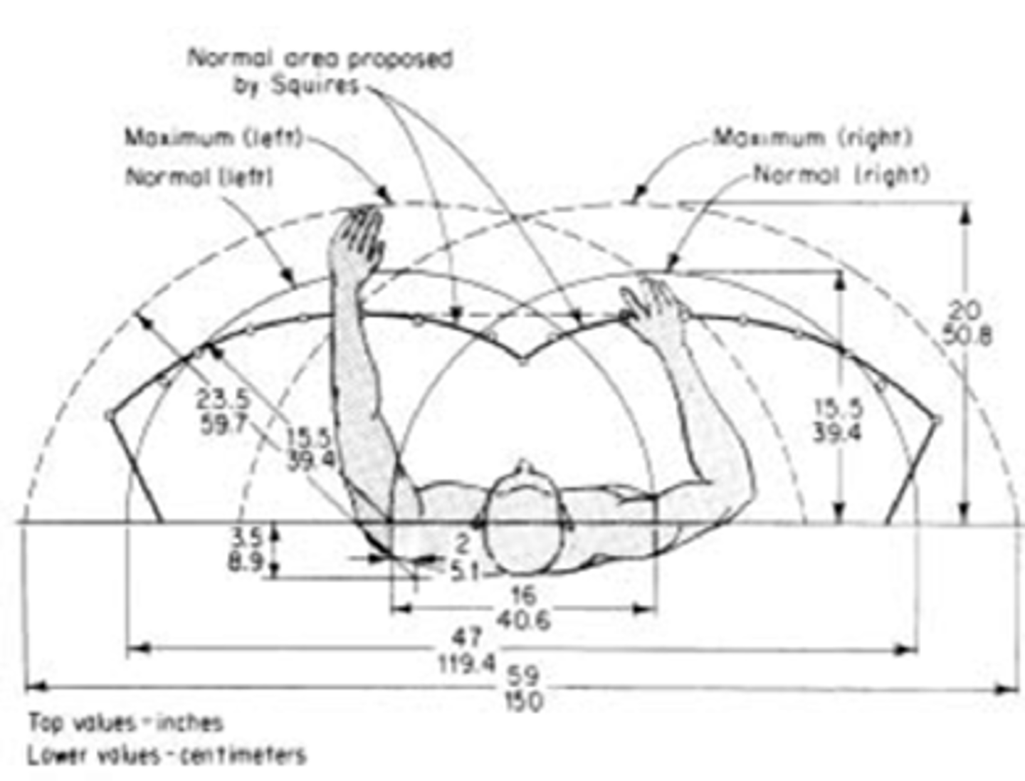 <p>Functional data includes dynamic data measurements while performing a required task e.g. reaching abilities, maneuvering and aspects of space and equipment use.</p>